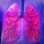 【閲覧注意】事故で左胸から “肺が飛び出してしまった” グロ動画。