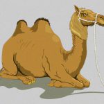 【閲覧注意】サッカーのカタール代表、国境で “とんでもない歓迎” を受ける。