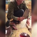 カモ「友達を殺さないでよ！」仲間が殺される様子を見て辛抱たまらず止めようとする鴨。