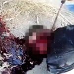 【閲覧注意】あっという間に首を切断されてしまうグロ動画。