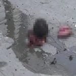 【閲覧注意】自爆テロ犯人のちぎれた頭と飛び出た脳ミソを撮影したグロ動画。