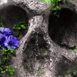 【超！閲覧注意】ヤベー状態で死んだ人間のグロ画像集Pt.8。