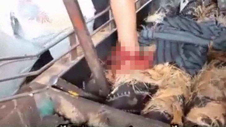 【閲覧注意】何かを粉砕する機械に挟まれた左手、グチャグチャになってしまったグロ動画。