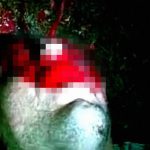 【閲覧注意】銃で撃たれた男性の顔から大量の血が吹き出すグロ動画。