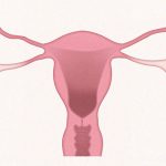 この女性のクリ●リス、もうこれチ●コだろ･･･。