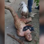 【超！閲覧注意】生きてる男性のペ●スを犬に食わせるこのグロ動画こわすぎ･･･。