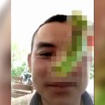 【閲覧注意】この毛虫、食べれる･･･？