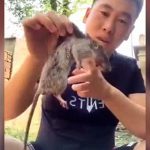 【閲覧注意】死んだネズミの頭を噛みちぎって食べる男。