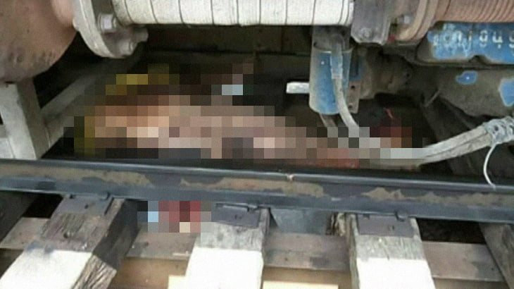 エロ グロ 死亡 変態 エロ グロ 死亡 変態
