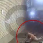 【閲覧注意】線路に横たわり自殺をはかる学生、首切断されて死亡。