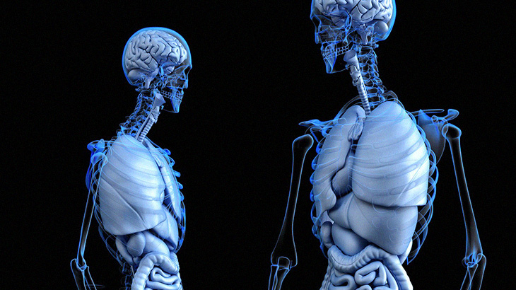 【閲覧注意】脳と脊髄が繋がったまま摘出されるとこうなる。