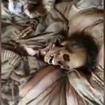 【閲覧注意】ベッドの上で白骨化した死体が発見される。