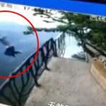 大学入試に失敗した18歳の学生、崖から飛び降りて死亡。