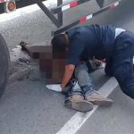 【超！閲覧注意】トラックの下に入り込んだグチャグチャの死体を引きずり出すグロ動画。