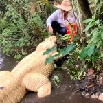 全身白い皮に覆われたアルビノのワニ。