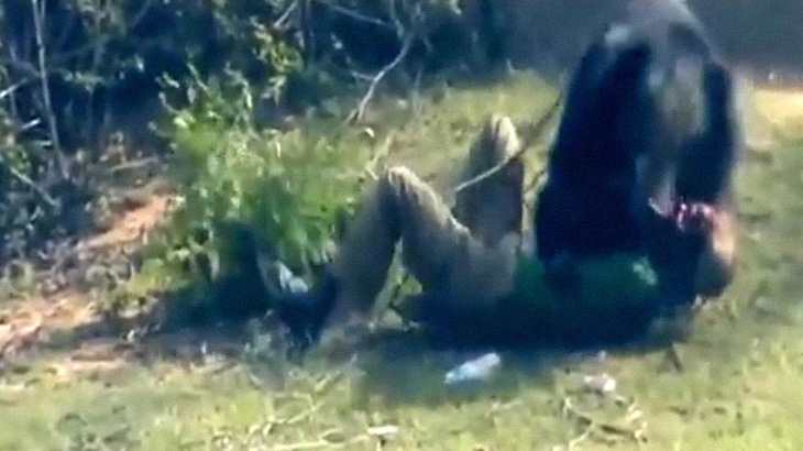 【閲覧注意】生きたままクマに顔を剥がされてしまう男性。