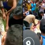 【閲覧注意】”巨大アナコンダ” と “巨大なワニ” の腹を裂いてみた結果･･･。