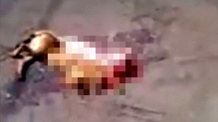 【閲覧注意】車に轢かれて死んだ犬、その傍らにはまだ動く心臓が･･･。