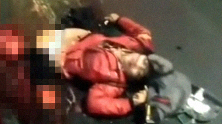 【閲覧注意】車に轢かれて胴体真っ二つになった女性のグロ動画。