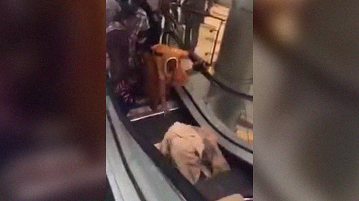 エスカレーターを初めて体験する女性、転倒して転がってしまう。