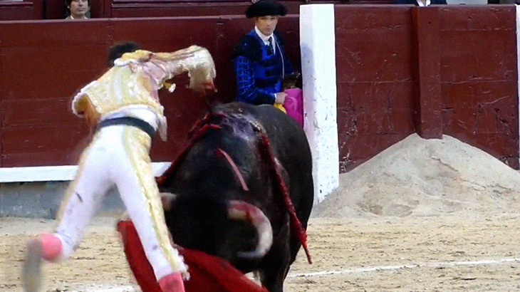 「マタドール v.s 闘牛」の真剣勝負。剣を突き刺されて膝から崩れる闘牛。