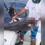 【衝撃映像】”ヤバすぎる見た目” の魚が釣り上げられる。