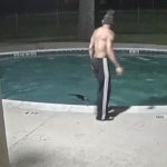 プールに猫を投げ入れて虐待していた男、逮捕される。