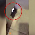 公衆トイレで女性の放尿シーンを撮影しようとする変態男。