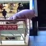 ショッピングモールで飛び降り自殺する女性。