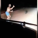 オーストラリアの警察官、ウォンバットに石を投げつけて殺す動画を投稿して大炎上。