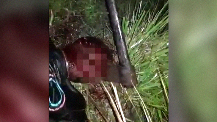 【超！閲覧注意】頭を斧で殴打される男、顔に斧が刺さってしまう･･･。