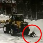 除雪していたブルドーザーの運転手、女性を轢き殺してしまい発狂･･･。