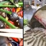 ネズミの赤ちゃんやミミズなどの中国のゲテモノ料理。