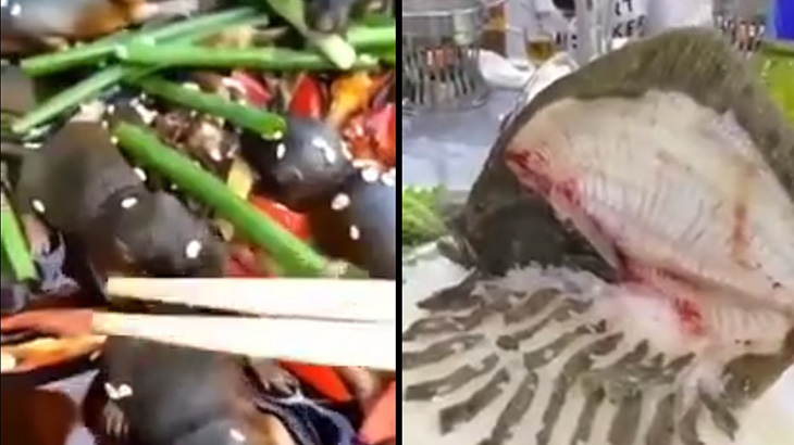 ネズミの赤ちゃんやミミズなどの中国のゲテモノ料理。