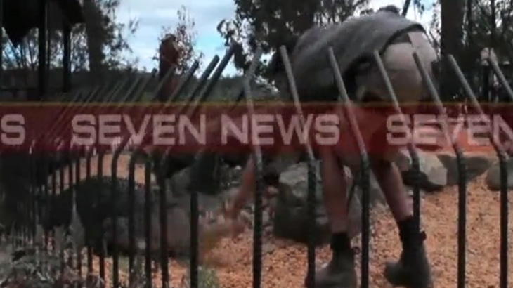 【衝撃映像】ワニの飼育員、パフォーマンス中に手を噛まれて水に引きずり込まれてしまう･･･。