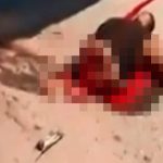 【閲覧注意】バイクで事故って “胴体真っ二つ” になってしまったグロ動画。