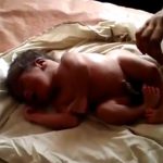 【衝撃映像】4本脚で産まれてきた赤ちゃん。