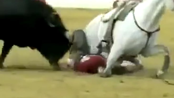 女性マタドールさん、馬から転落し牛に踏まれて死亡してしまう･･･。