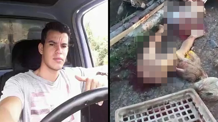 【閲覧注意】多くのニワトリと共に死んだ男、身体が真っ二つ･･･。