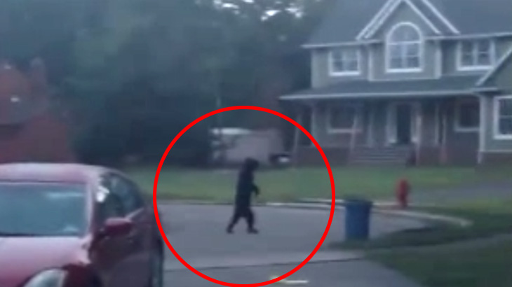 住宅街を2足歩行するクマ。これ中にオッサン入ってるだろ･･･。