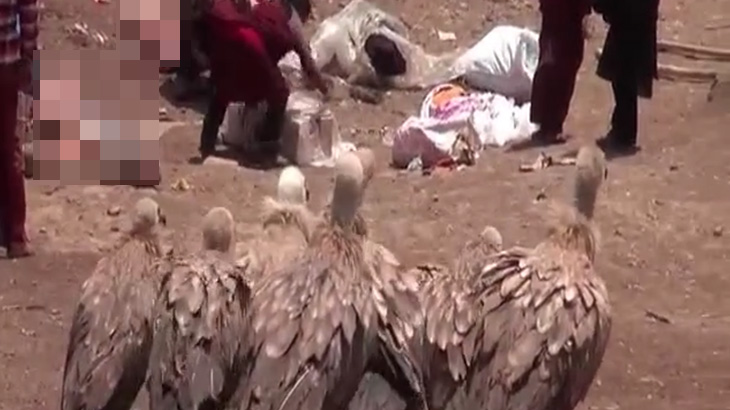 【閲覧注意】鳥葬のために死体を切り刻む人間。それに群がる大量のハゲワシ。