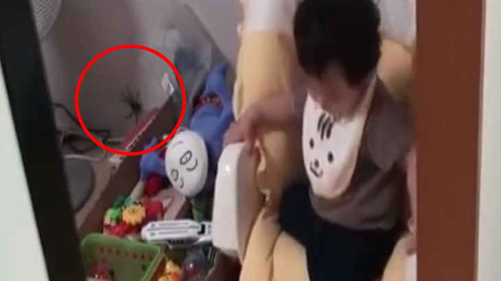【恐怖】部屋でこんな昆虫が出てくるとか怖すぎる･･･。