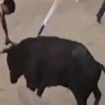 【衝撃映像】闘牛をジャンプして飛び越えようとした男、角で腹を刺されてしまう･･･。