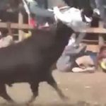 【衝撃映像】闘牛に襲われる瞬間をまとめたコンピレーション動画。