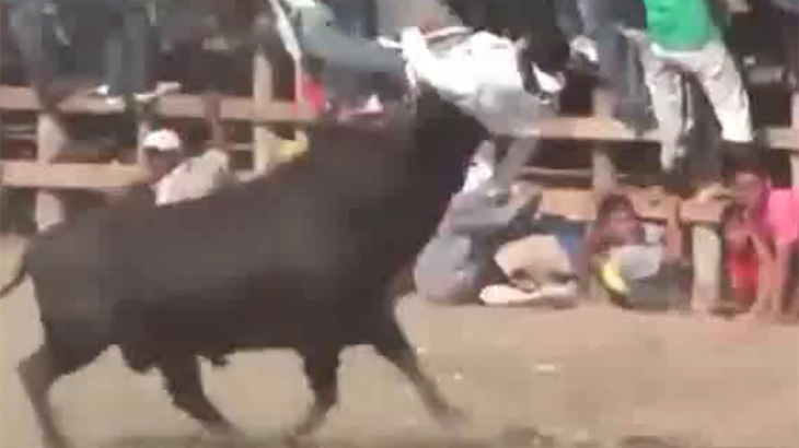 【衝撃映像】闘牛に襲われる瞬間をまとめたコンピレーション動画。