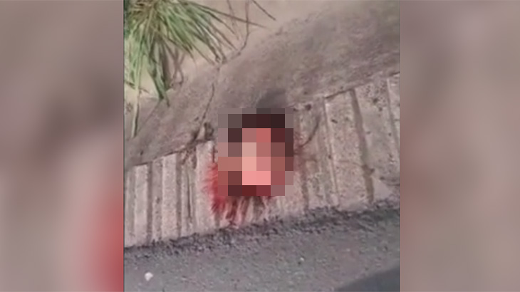 【閲覧注意】道路の端に女性の頭だけが転がってるんだけど･･･。