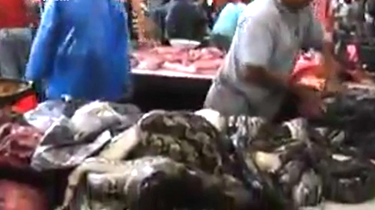 動物がそのままの姿で並ぶアジアの肉市場。