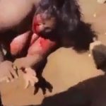 全裸にされた太った女性、石を投げられて死亡したリンチ映像。