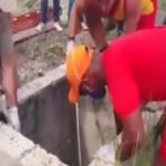 【閲覧注意】行方不明となっていた2人の少年、貯水槽からヤバイ姿となって発見される･･･。