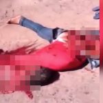 【閲覧注意】トラックに轢かれて内臓が飛び出て死んだ女性のグロ動画。